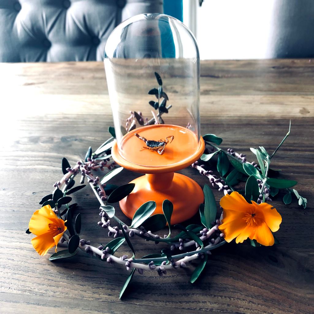 A Scorpion + Solar&nbsp;System